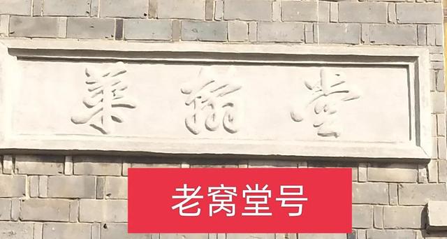 老人老家老树老窝