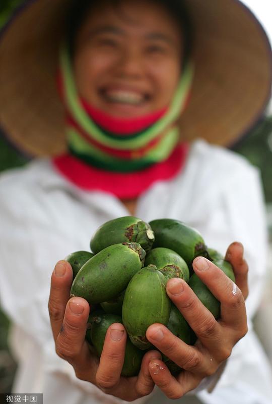 叼嘴巴小罐槟榔,叼嘴巴30元槟榔包装