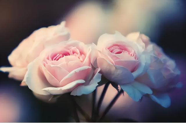 真正让女人动情的，是这样的男人