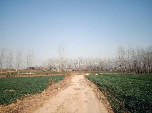 感受乡村气息的句子简短,感受乡村气息的句子简短一点