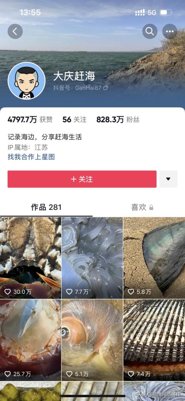 自媒体简介30字例子记录生活,自媒体简介30字例子记录生活怎么写