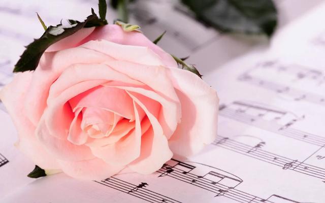 真正让女人动情的，是这样的男人