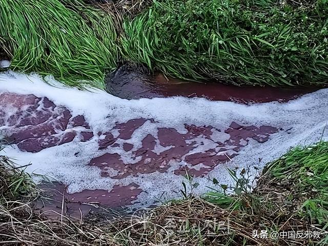 做污染事的网站,做污染事的网站章鱼哥