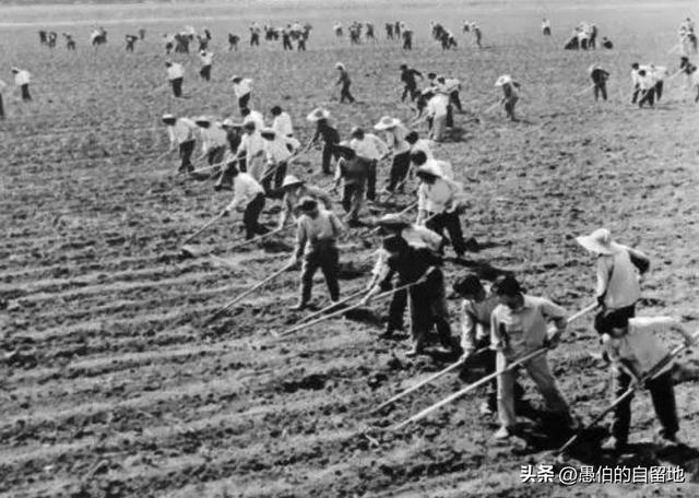 第二次分田到户是什么时候开始的,第二次分田到户是哪一年