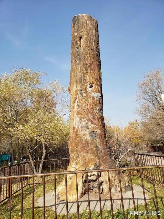 今日头条什么时候发视频阅读量会高,头条号发什么视频才有播放量多