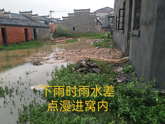 老人老家老树老窝