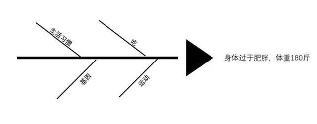 鱼骨图分析法的5个因素,鱼骨图分析法的5个因素各代表什么