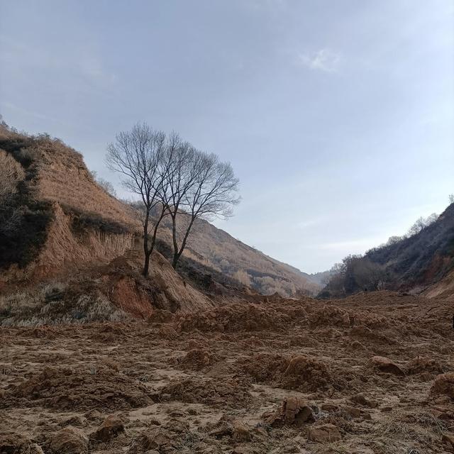 竞争比合作更重要辩论赛一辩稿竞争,竞争比合作更重要辩论赛一辩稿3分钟