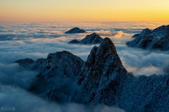 哈尔滨满立柱是谁,哈尔滨满立柱与焦元南