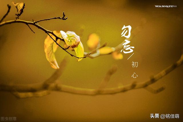 看美剧app推荐，看美剧app推荐免费