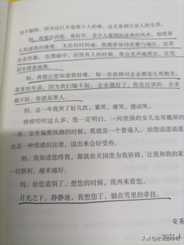 蓝海集团副董事长安英老公合影照片大全,蓝海集团副董事长安英老公合影照片视频