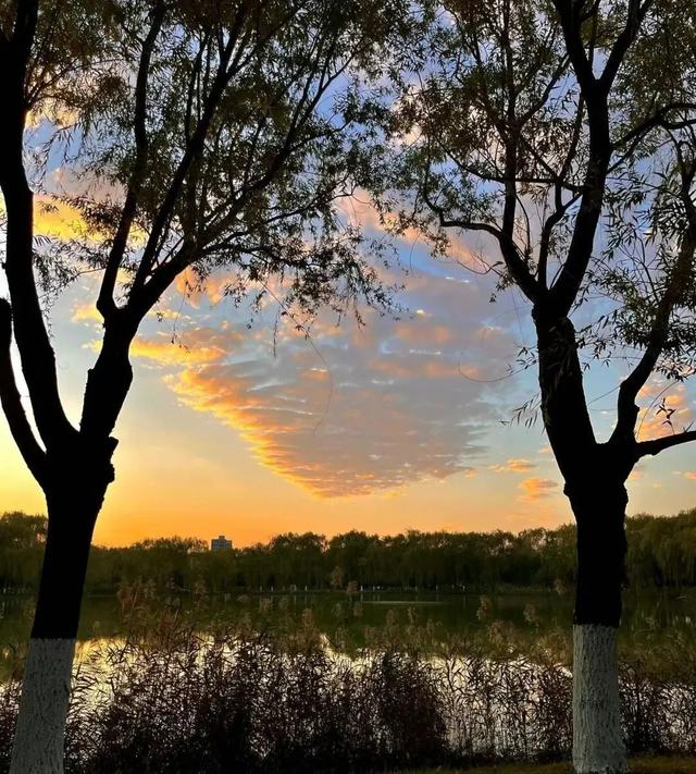 壁虎看看直播带货榜下载,壁虎看看直播带货数据