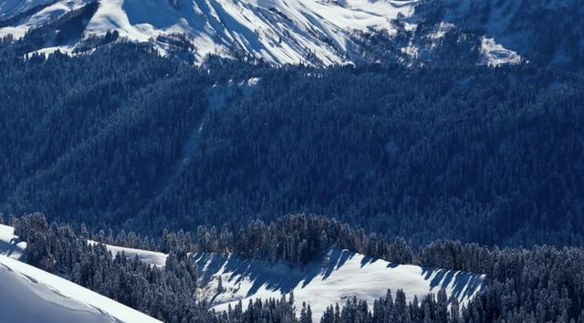 最有谋略的星座女排行榜前十名,最有谋略的星座女排行第一