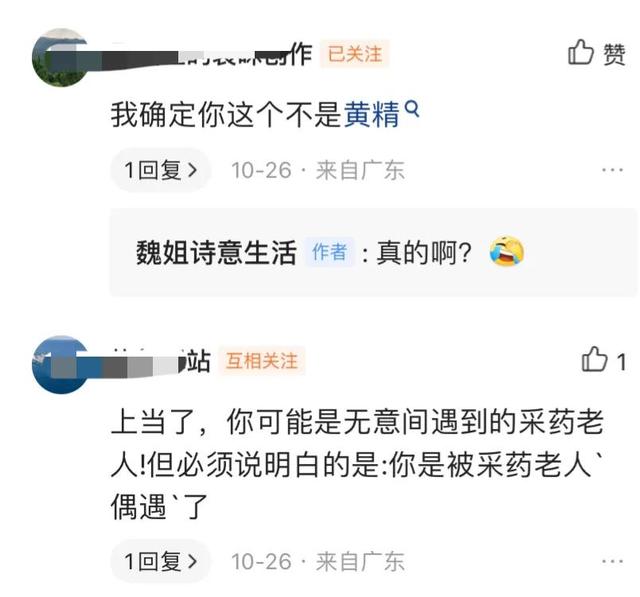 黄金药材价格多少钱一斤,黄金药材的价格