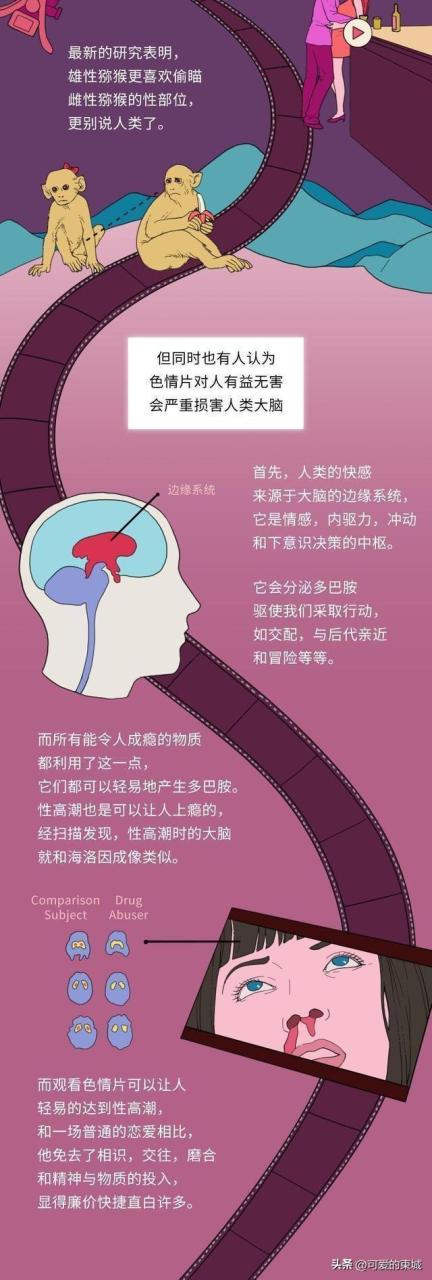 成年性视频BBIXX男男，