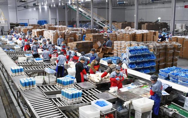 大学毕业5年没工作想死2021年,2021年大学毕业了吗