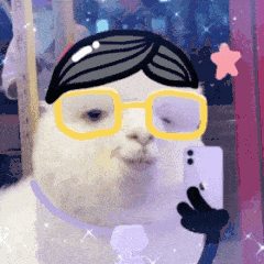 中国移动流量卡19元200g是真的吗,中国移动流量卡19元200g是真的吗多少钱