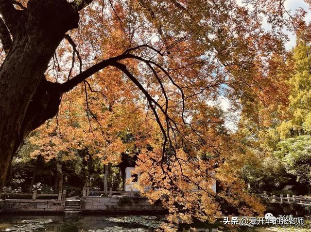 推荐几个开车的微信公众号文章,推荐几个开车的微信公众号文章怎么写