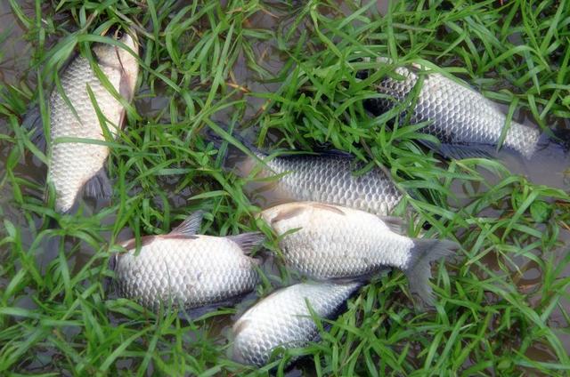 渔具店进货渠道有哪些,渔具店进货渠道有哪些视频