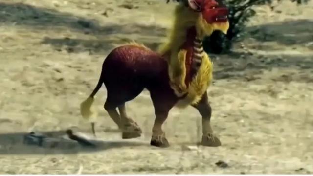 世界上最后一只麒麟图片真实，世界上最后一只麒麟图片真实版