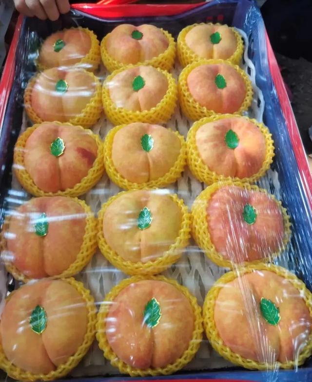 一亩田农产品批发可靠吗,洋槐花,一亩田农产品批发可靠吗安全吗