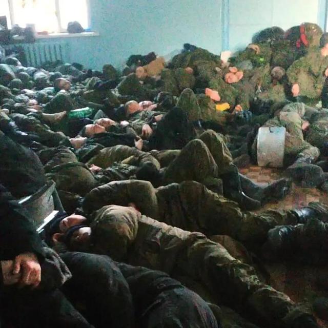 乌克兰有多少人口面积有多大俄罗斯,乌克兰有多少人口面积有多大山乐