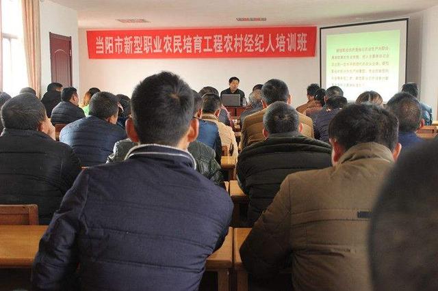 疫情期间创业点子,疫情创新创业项目点子