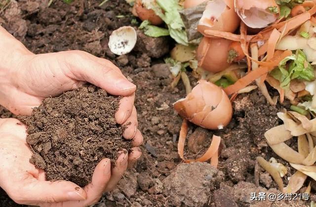 鸡屎发酵最简单方法图片,鸡屎发酵最简单方法图片大全