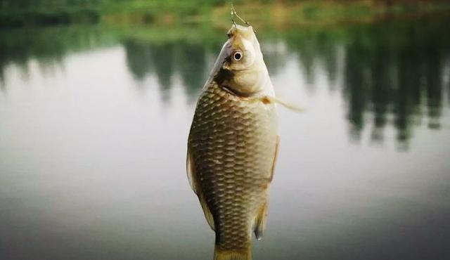 渔具店进货渠道有哪些,渔具店进货渠道有哪些视频