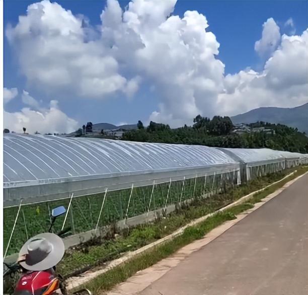 一亩田农产品批发可靠吗安全吗知乎,一亩田卖农产品可靠吗