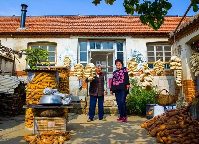 农村创业50个项目药材种植，农村种植药材致富项目