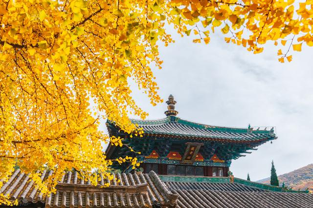 哈尔滨满立柱是谁,哈尔滨满立柱与焦元南