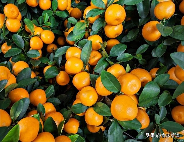 烤桔子的功效与作用禁忌,烤桔子的功效与作用禁忌是什么