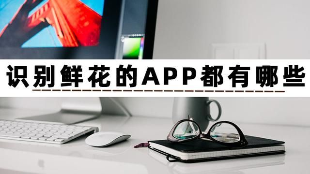 在线识别app图标搜狗,在线识别软件图标