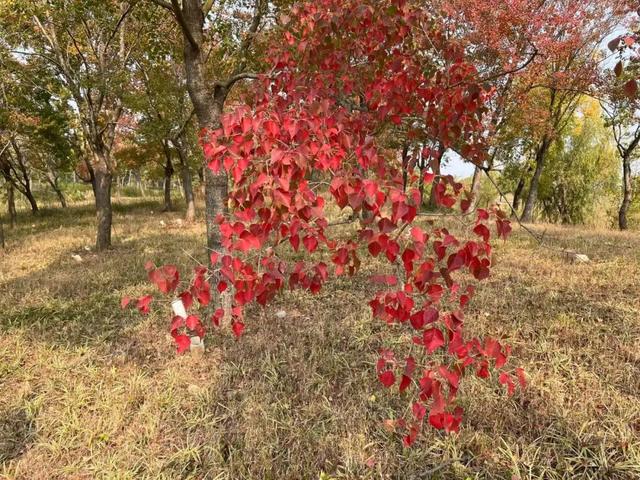 壁虎看看直播带货榜下载,壁虎看看直播带货数据