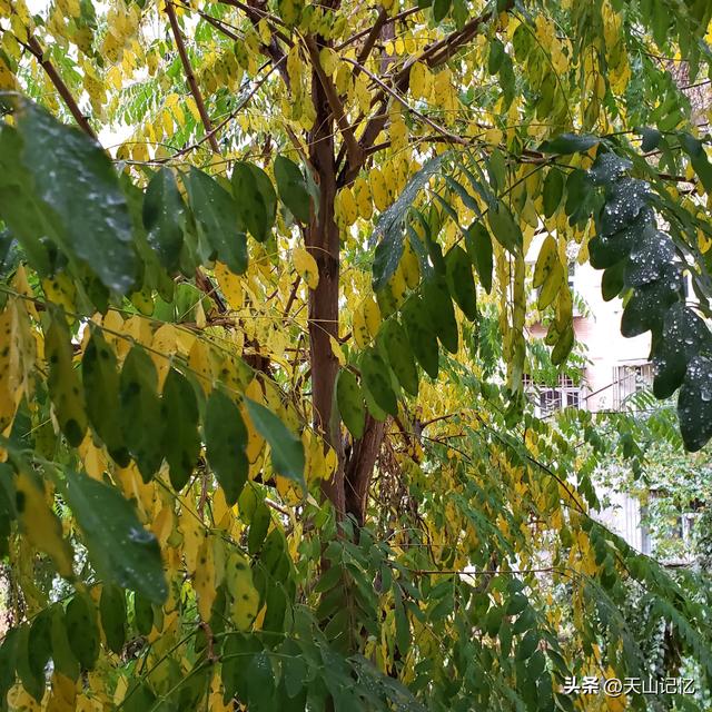 今日头条什么时候发视频阅读量会高,头条号发什么视频才有播放量多