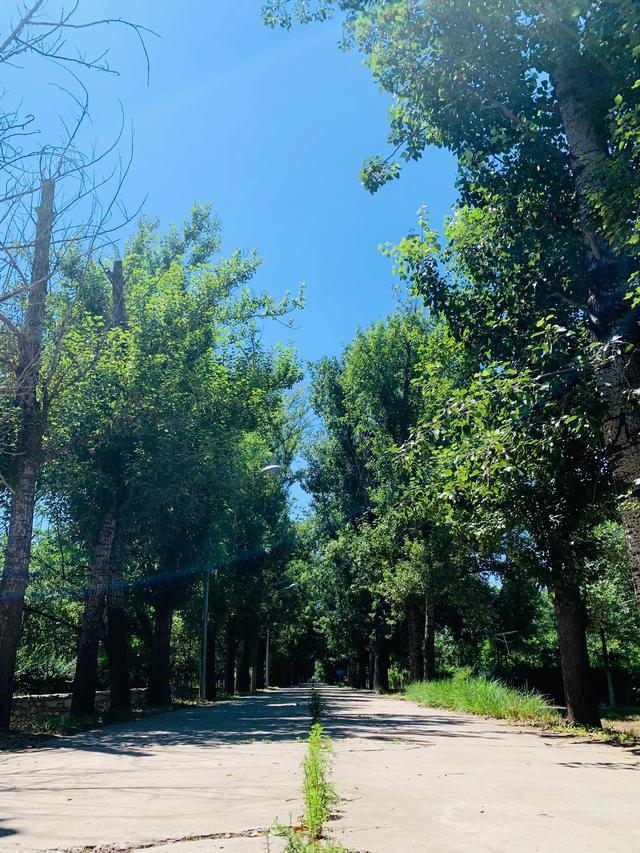 亚马逊跨境电商平台怎么入驻需要准备多少费用,亚马逊开店入驻多少钱