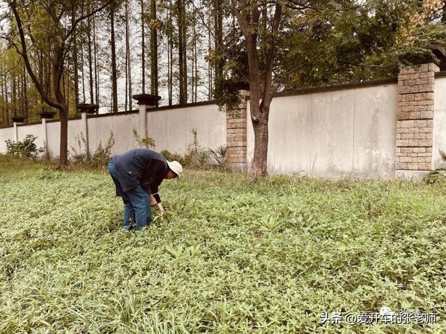 推荐几个开车的微信公众号文章,推荐几个开车的微信公众号文章怎么写