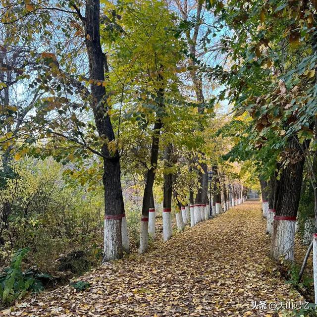 今日头条什么时候发视频阅读量会高,头条号发什么视频才有播放量多