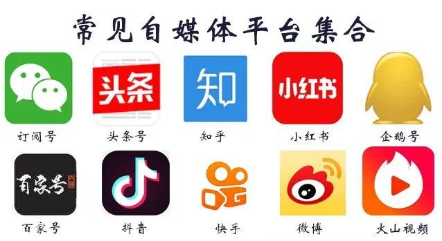 大鱼号注册平台入口,大鱼号手机注册平台入口