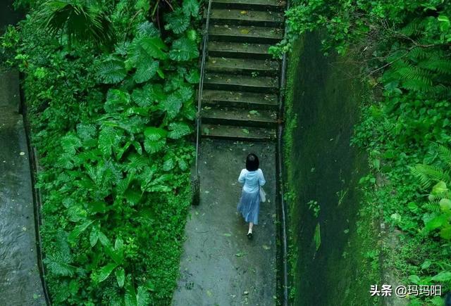 第一炉香葛薇龙怎么赚钱知乎,第一炉香_葛薇龙怎么挣钱