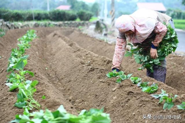 湿乎乎的话题虎扑社区,湿乎乎的论坛