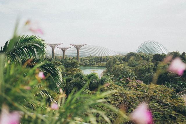 上海移民中介公司排名前十有哪些,上海移民中介公司排名前十位