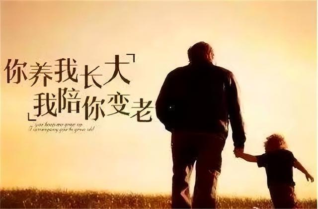 安心养老app下载，安心养老app下载不了