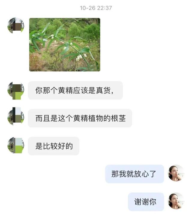 黄金药材价格多少钱一斤,黄金药材的价格