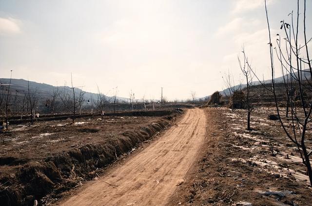 感受乡村气息的句子简短,感受乡村气息的句子简短一点