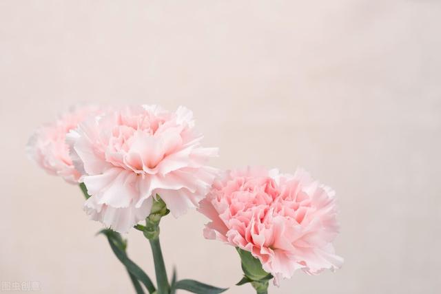 哈尔滨焦元南满立柱,哈尔滨焦元楠是谁