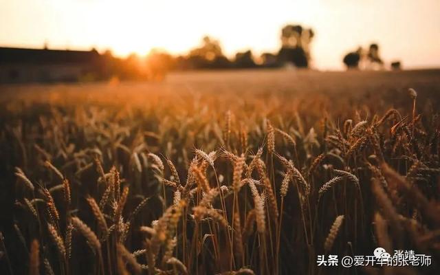 推荐几个开车的微信公众号文章,推荐几个开车的微信公众号文章怎么写