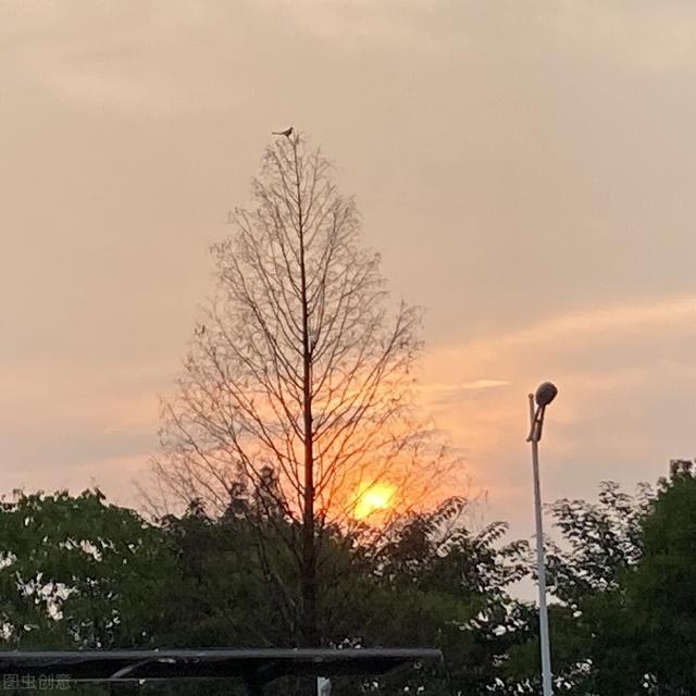 广告运营有必要考PMP吗？