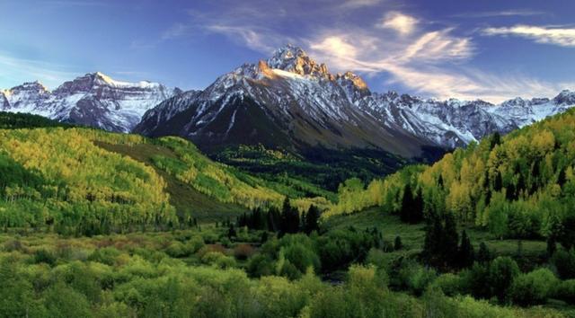 最有谋略的星座女排行榜前十名,最有谋略的星座女排行第一